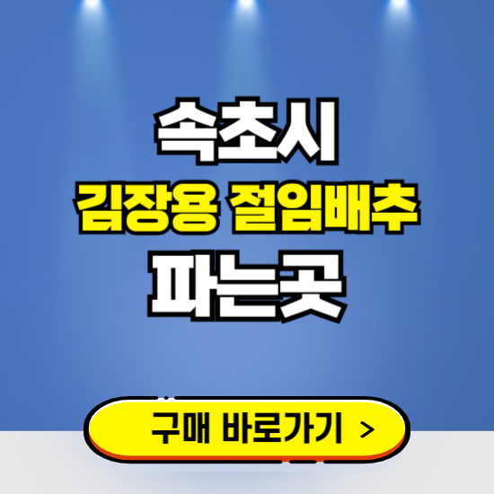 속초시 절임배추 사전예약 구입하는곳 ❘ 김장배추 파는곳 가격보기