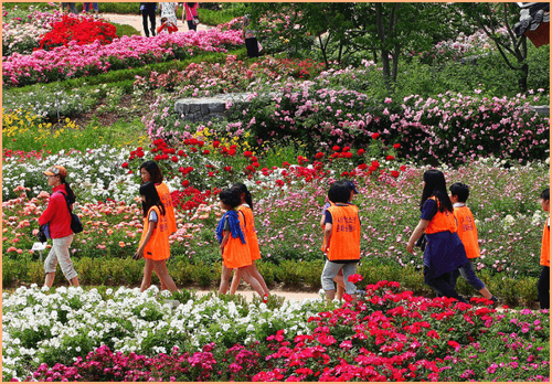 곡성 섬진강 기차마을