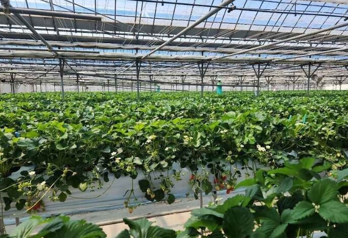 보성 가볼만한곳 베스트 10