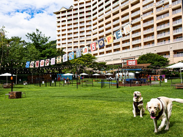 소노펫클럽 앤 리조트