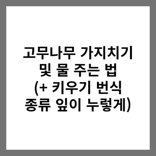 고무나무 가지치기 및 물 주는 법 (+ 키우기 번식 종류 잎이 누렇게)