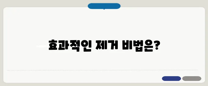 바닥 염색약 지우는 방법 깔끔하게