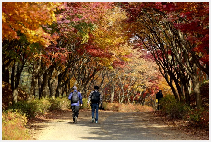 지역별 단풍 명소 독립기념관