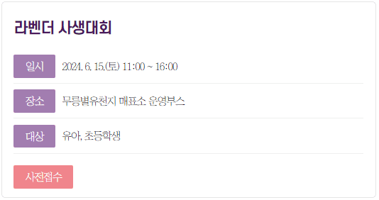 2024 무릉별유천지 라벤더축제