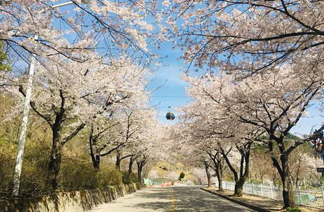 청풍호반케이블카 물태리역