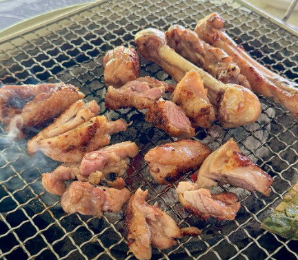 6시내고향 발길따라 고향기행 광양 닭구이 맛집