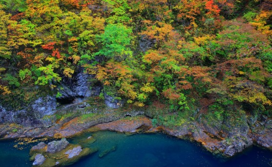 9월 아키타 날씨부터 자유여행 일정 및 맛집 완벽 가이드