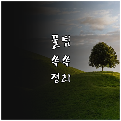 2025 임산부 영양제 지원 대구 달..