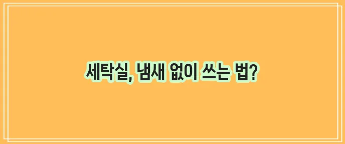 드럼 세탁기 청소법으로 쾌적한 세탁실 유지