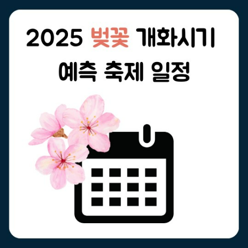 2025 벚꽃 개화시기 예측 축제 일정