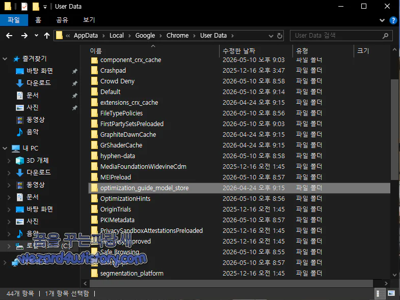 OptGuideOnDeviceModel 폴더