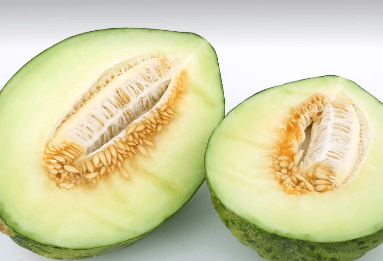 역류성 식도염에 좋은 음식