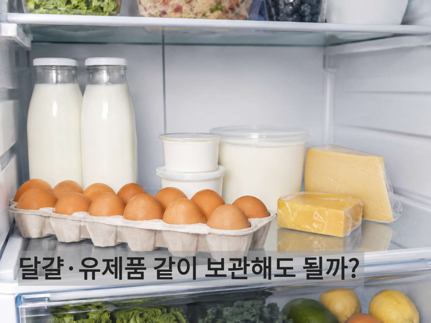 냉장고 안쪽 선반에 달걀과 유제품이 정리된 모습