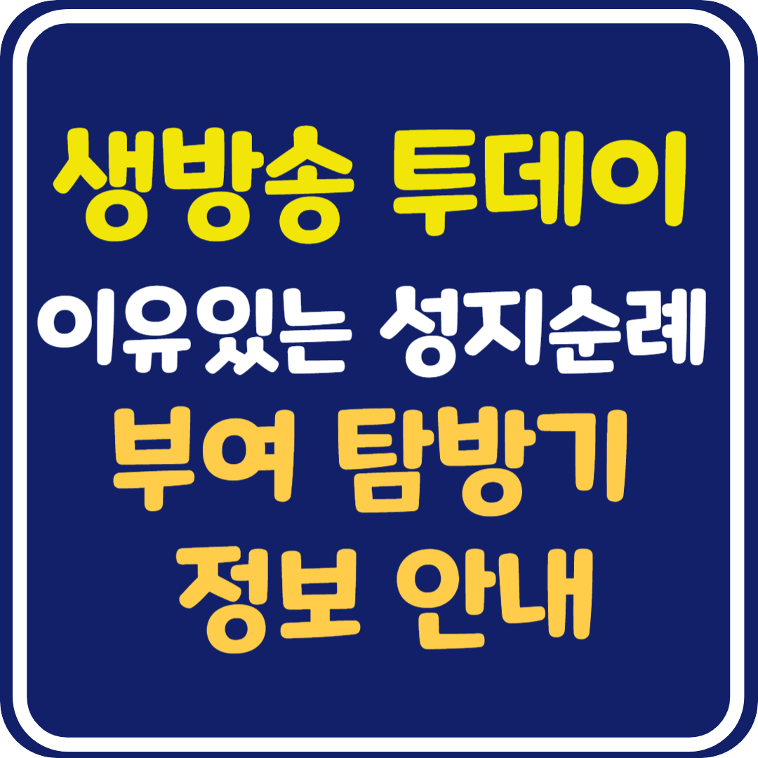 생방송 투데이 부여 탐방기 백제문화단지,전기어차, 백마강 황포돛배 유람선, 수륙양용버스, 국립부여박물관, 성흥산성 느티나무 정보 안내 : 이유있는 성지순례
