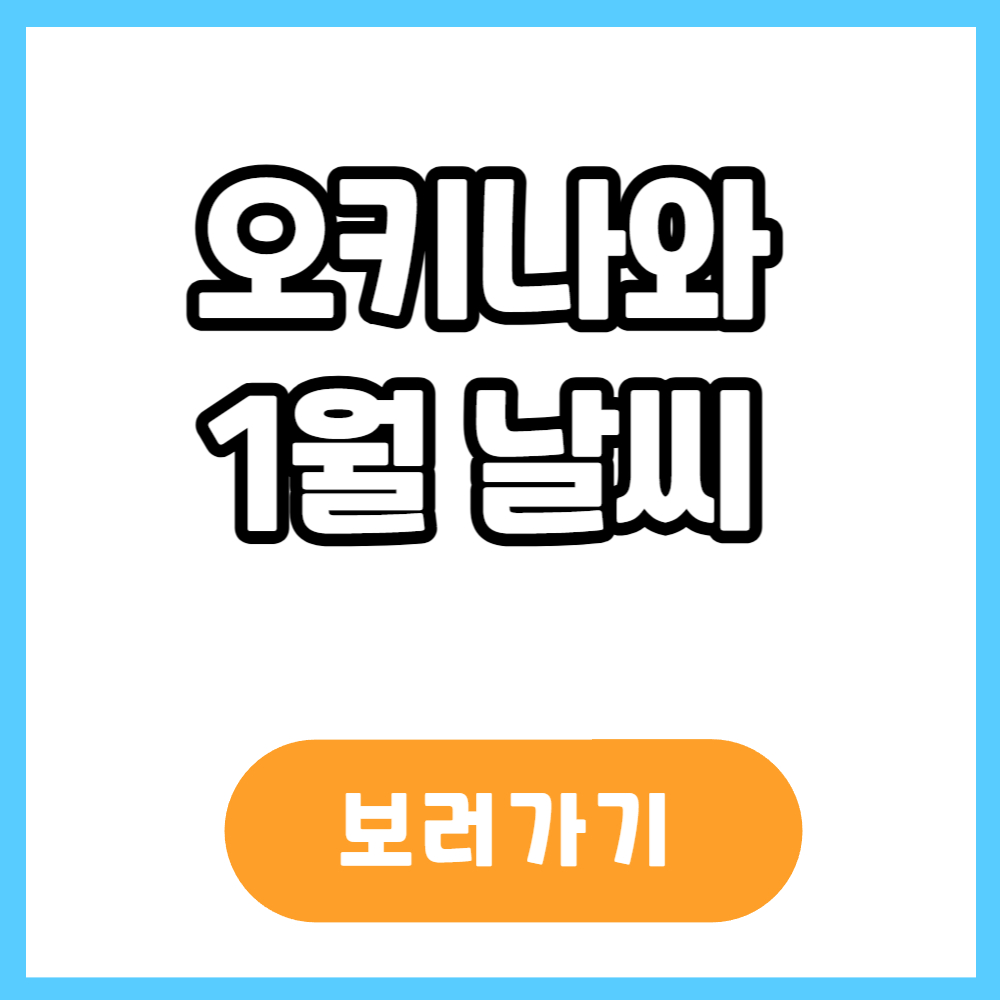 오키나와 1월 날씨