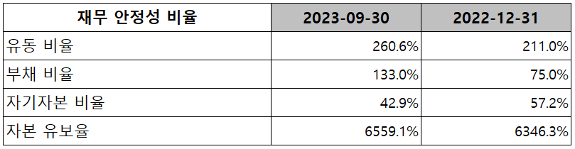 포스코퓨처엠 - 재무 안정성 비율
