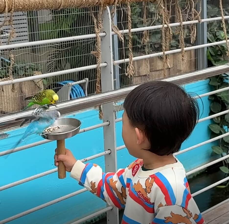 오산버드파크_앵무새모이주기체험