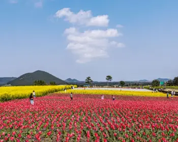 순천만 국가정원_14