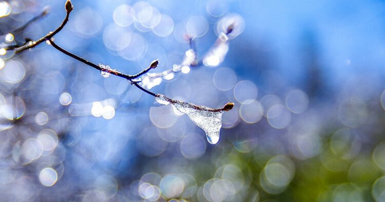 계절의 변화를 세분화한 24 절기 중 '우수' 이해하기