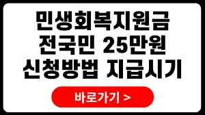 민생회복 소비쿠폰 지급