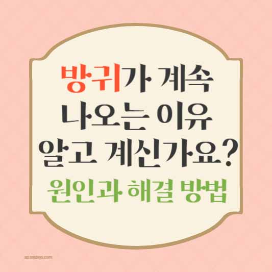 방귀가 계속 나오는 이유, 알고 계신가요? 원인과 해결 방법