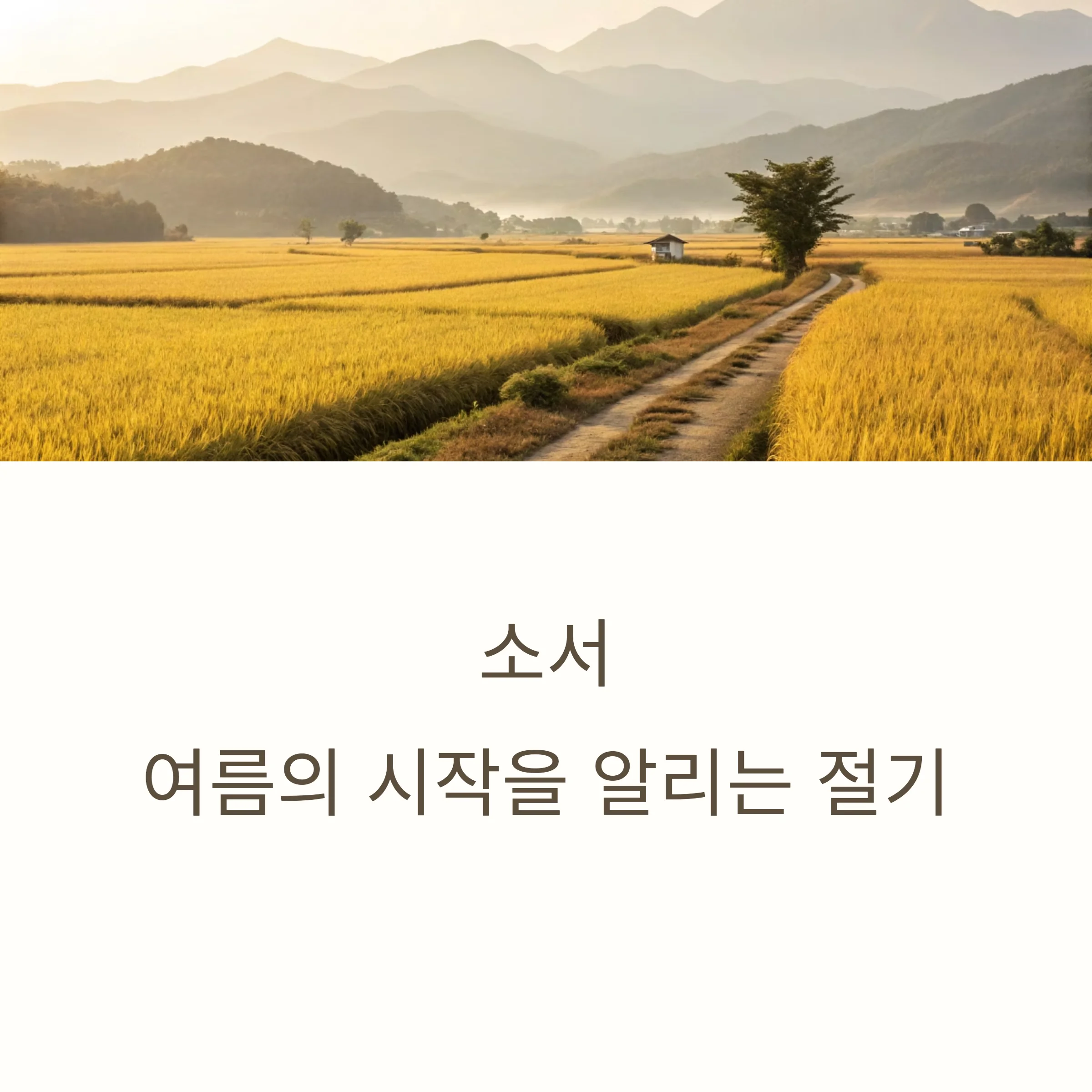 2025년-소서