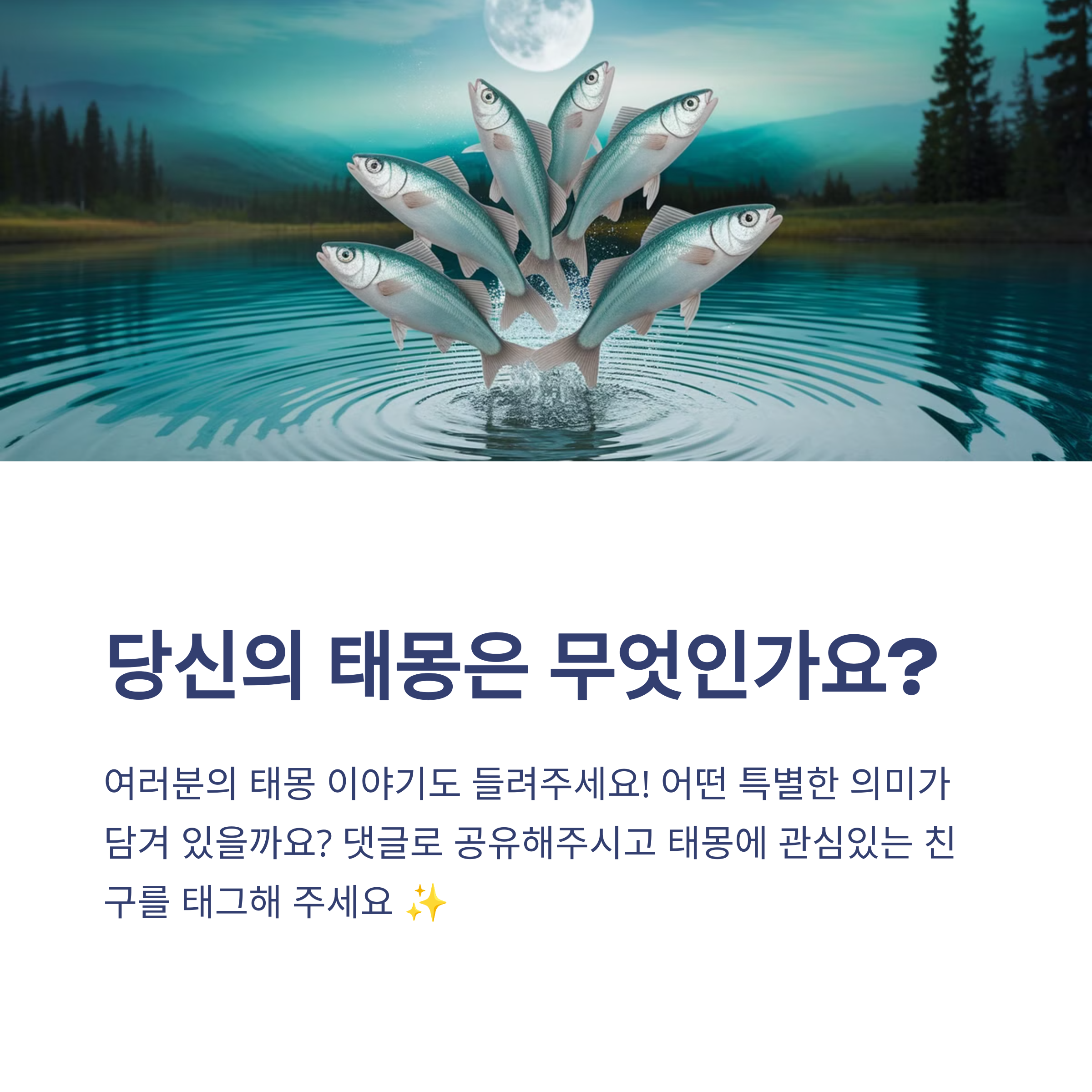 연예인들의 태몽 이야기 5탄