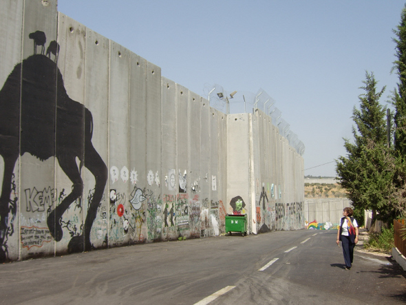 이스라엘 팔레스타인