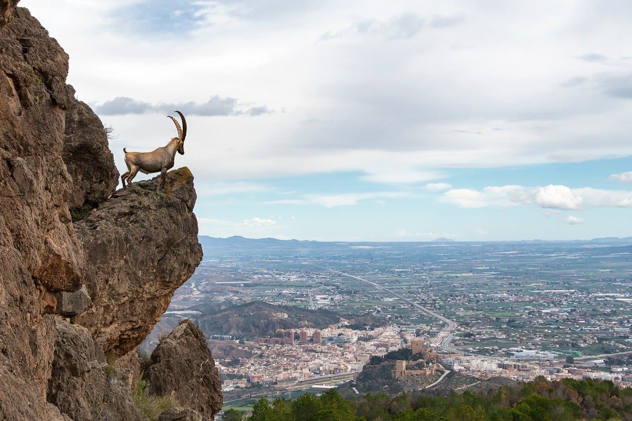 몰타 취업 가이드 &ndash; iGaming &amp; 핀테크 중심 외국인 채용 전략