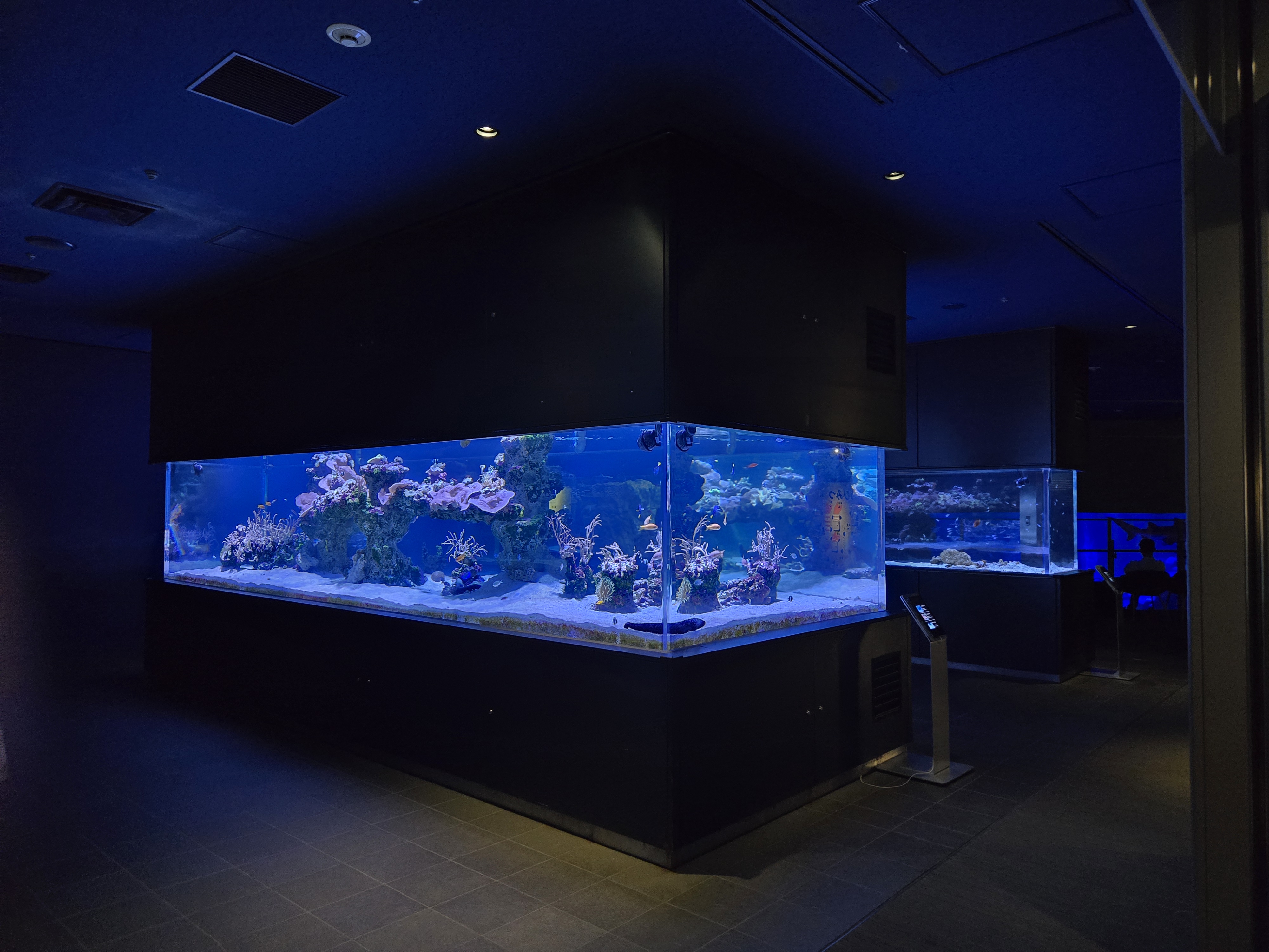 도쿄 스미다수족관