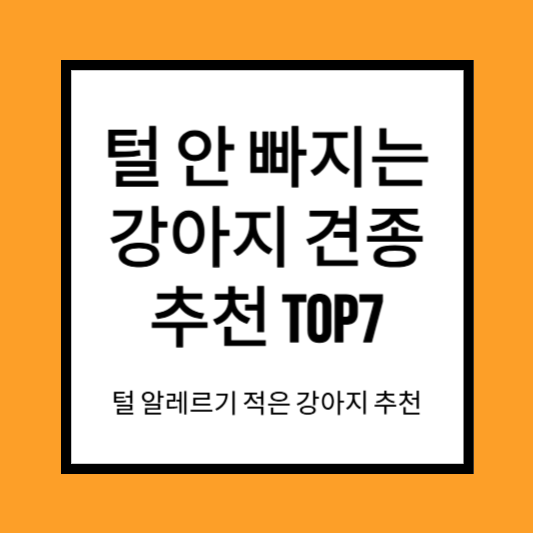 털 안빠지는 강아지