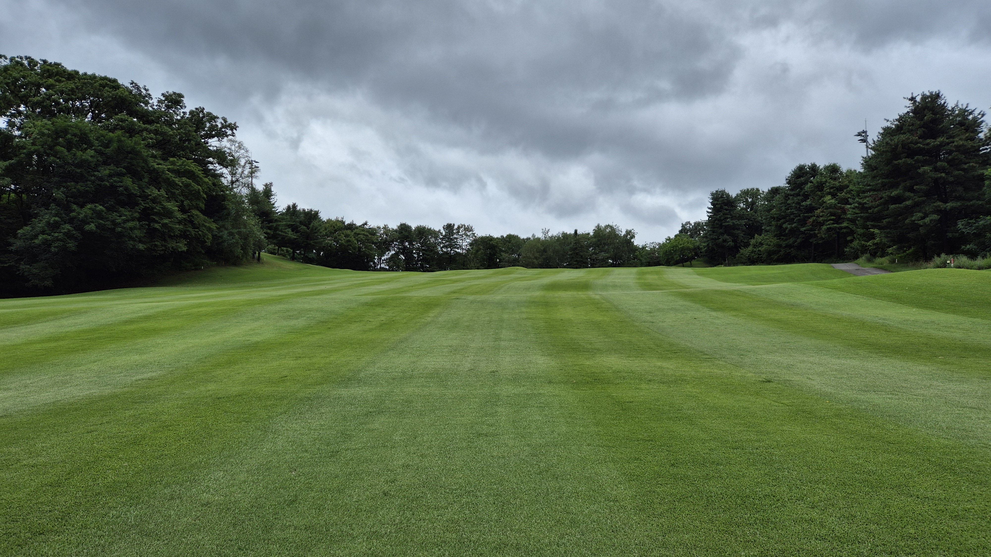 뉴서울cc 예술in-문화in 코스 사진 및 공략 정보