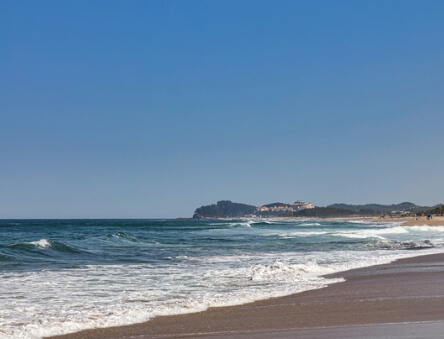 동해 해수욕장 개장일, 폐장일