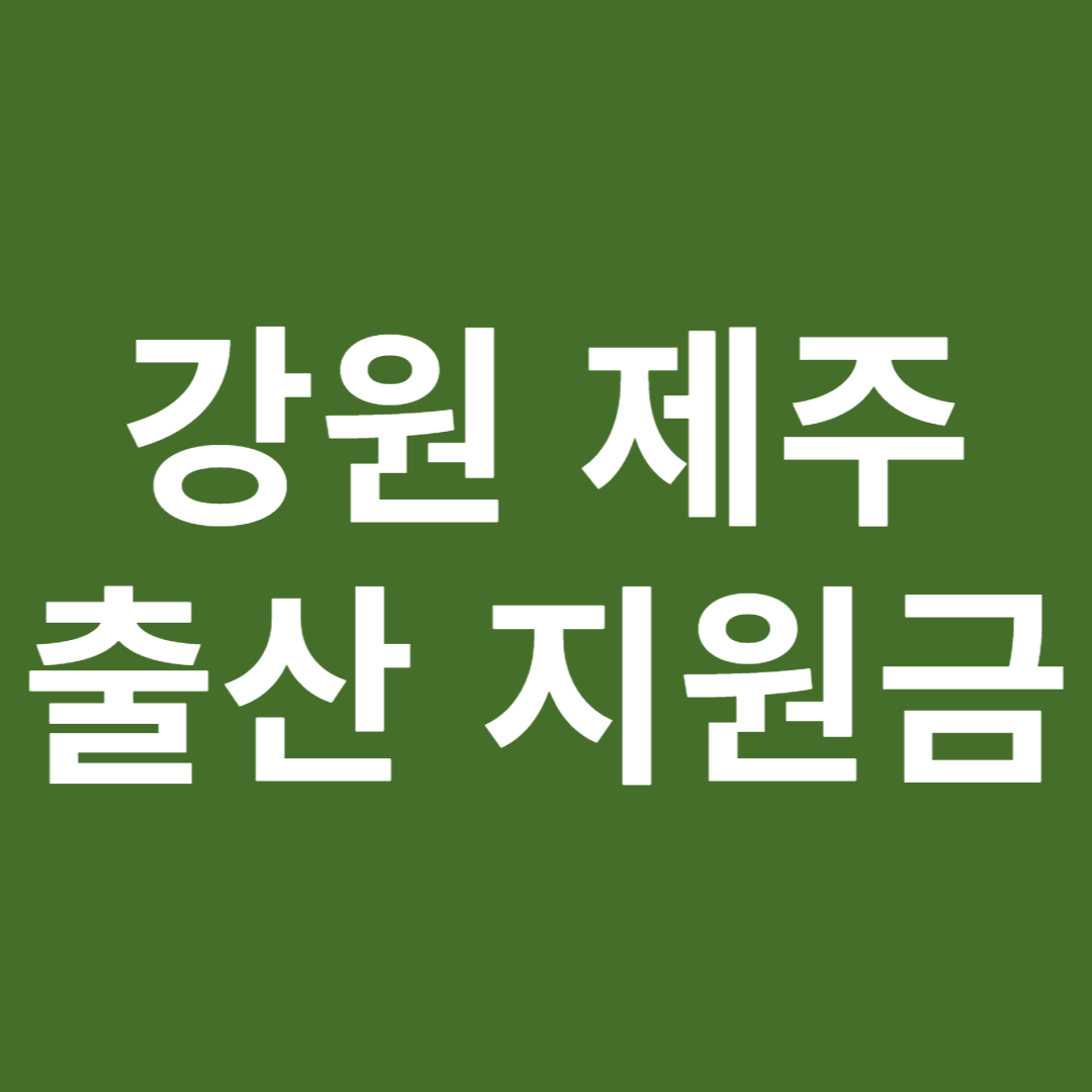 강원 제주 출산 지원금