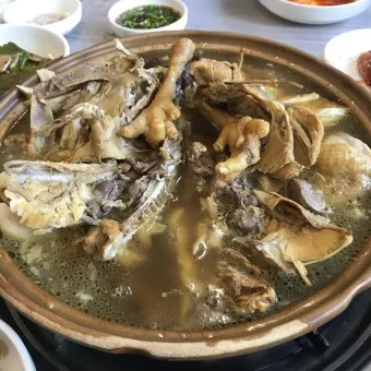 옻닭 효능 먹으면 안되는 사람 닭백숙_10