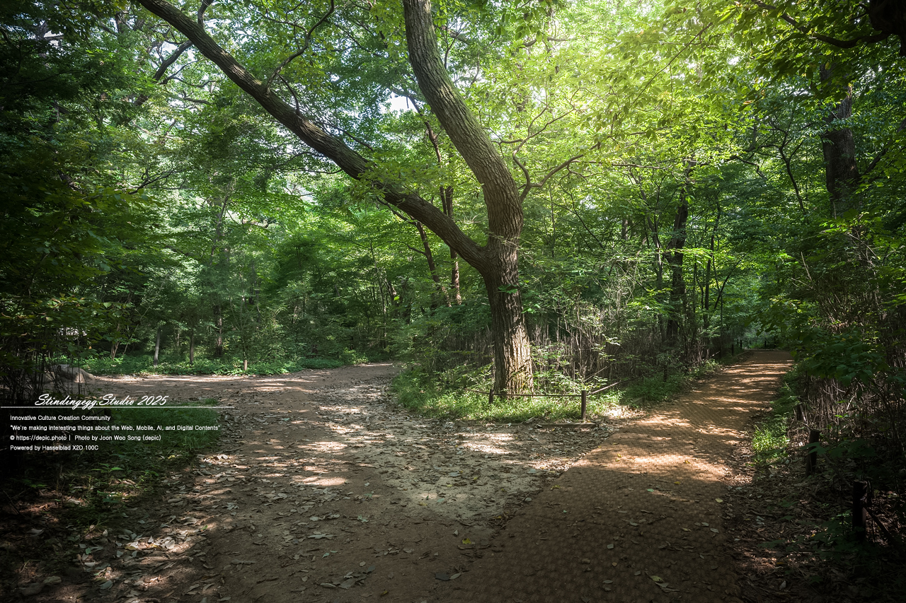 #보은 #법주사 #속리산 #생태탐방로 #속리산조각공원