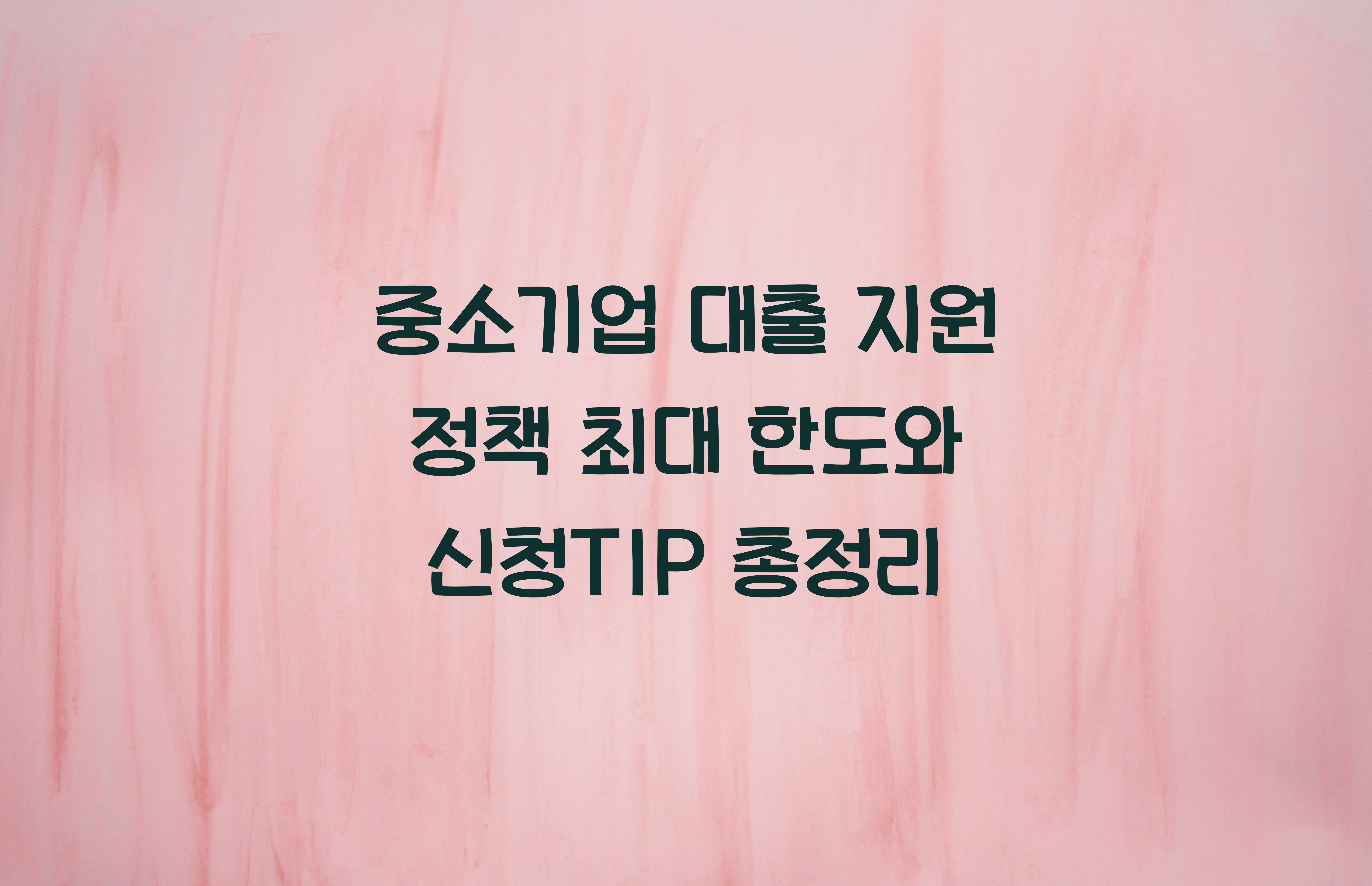 중소기업 대출 지원 정책