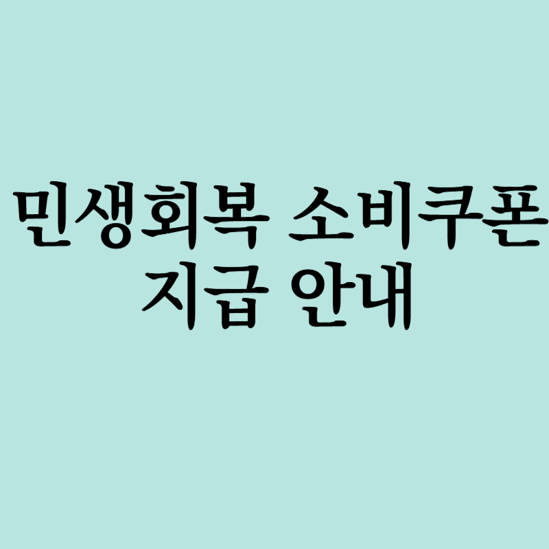 민생회복 소비쿠폰