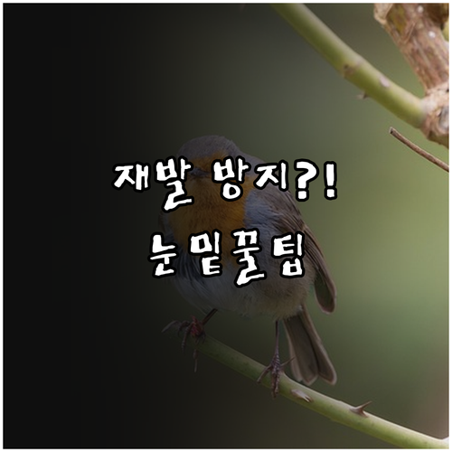 남자 눈밑지방 재배치 재발 방지와 관..