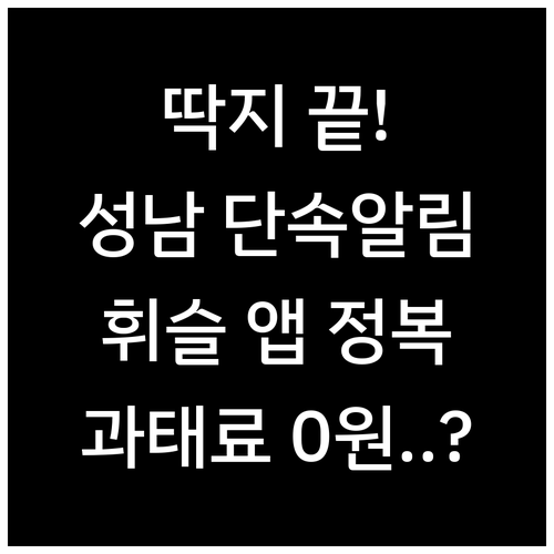 성남시 주정차 단속 알림 서비스 신청..