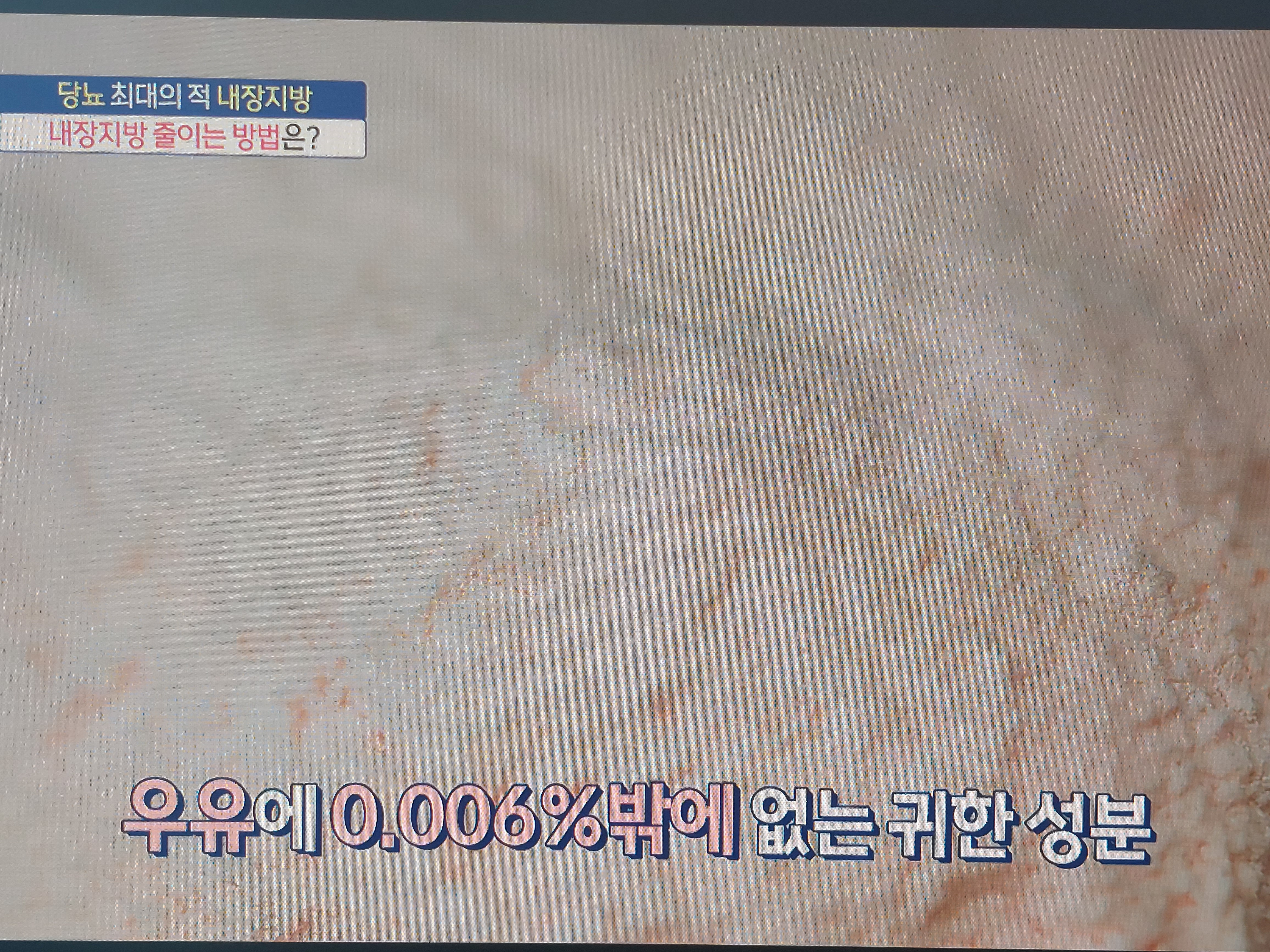 락토페린 효능