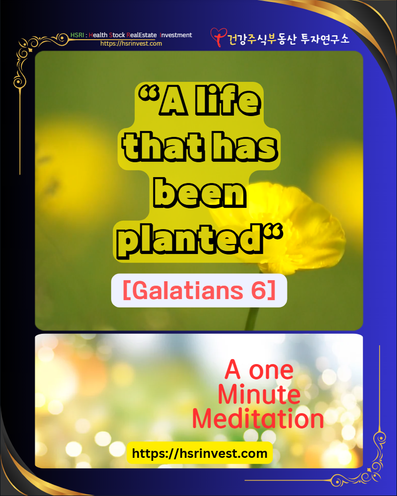 Galatians 6 Meditation