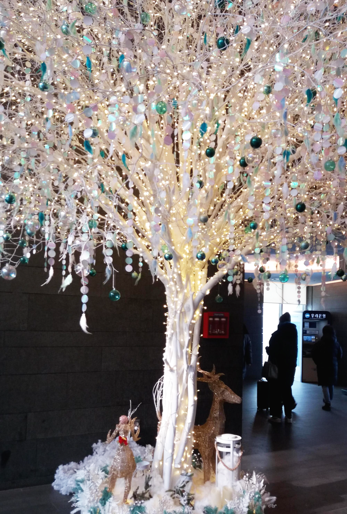 ์ ์ฒ ๋ฆฌ์๋ฆฌ์กฐํธ