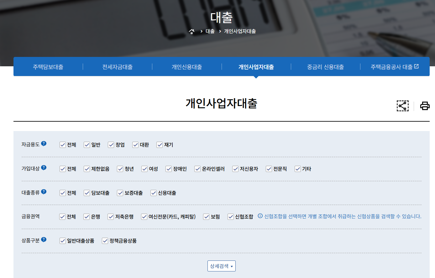 개인사업자 정책자금 금융감독원