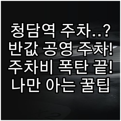 강남구 청담역 인근 주차비 절약하는 ..