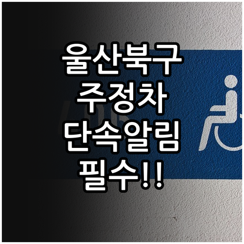 울산 북구 주정차 단속 알림 서비스 ..