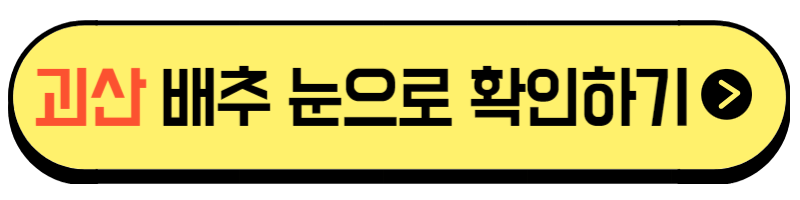 절임배추