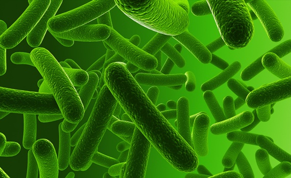 비브리오패혈증 증상&amp;#44; 예방법부터 치사율까지 총정리