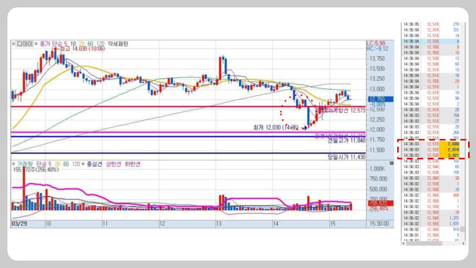 장대음봉과-체결창-정보