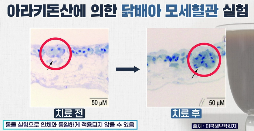 흑염소 효능